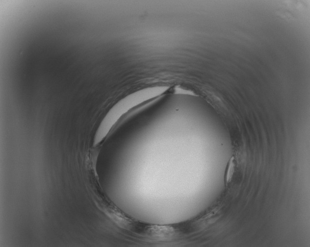X0000073500429200608281646