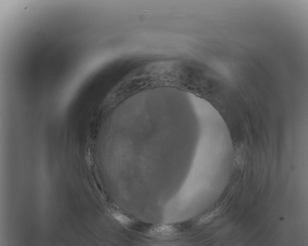 X0000073500431200608281646