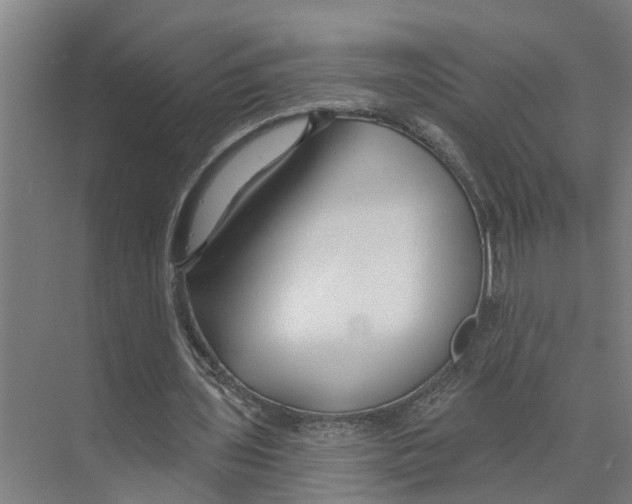 X0000073500435200608281645