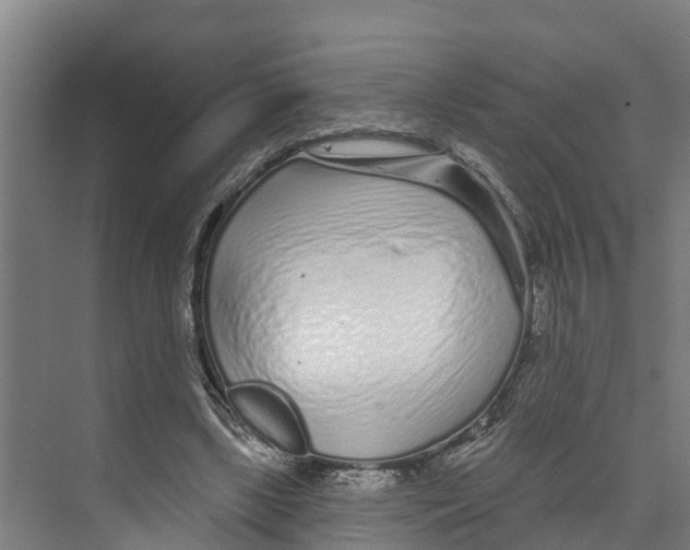 X0000073500443200608281645