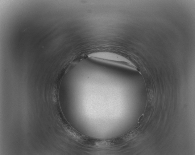 X0000073500470200608281646