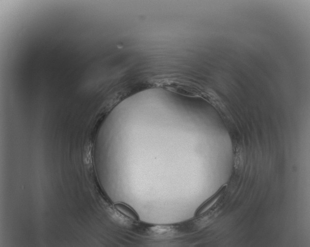 X0000073500477200608281646