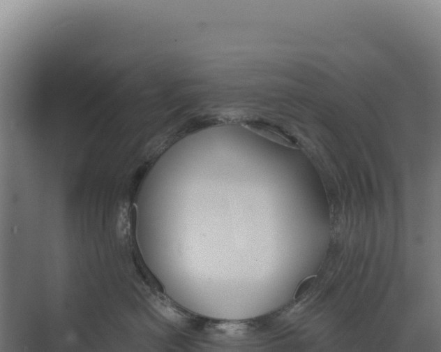 X0000073500478200608281646