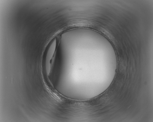 X0000073500482200608281645