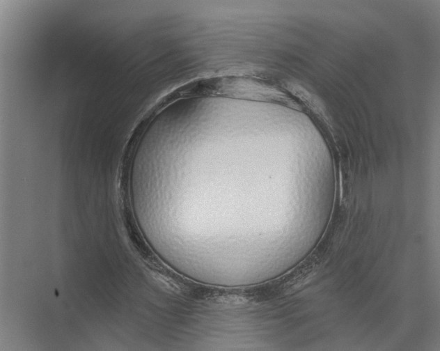 X0000073500483200608281645