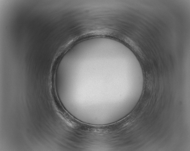 X0000073500486200608281645