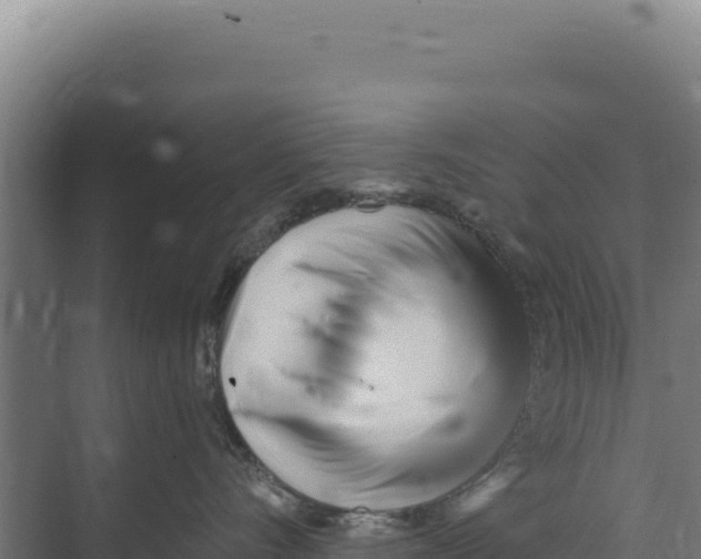 X0000073500528200608281644