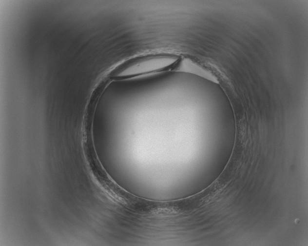 X0000073500536200608281644