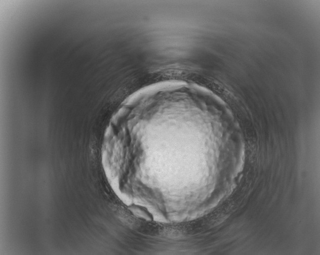 X0000073500561200608281644