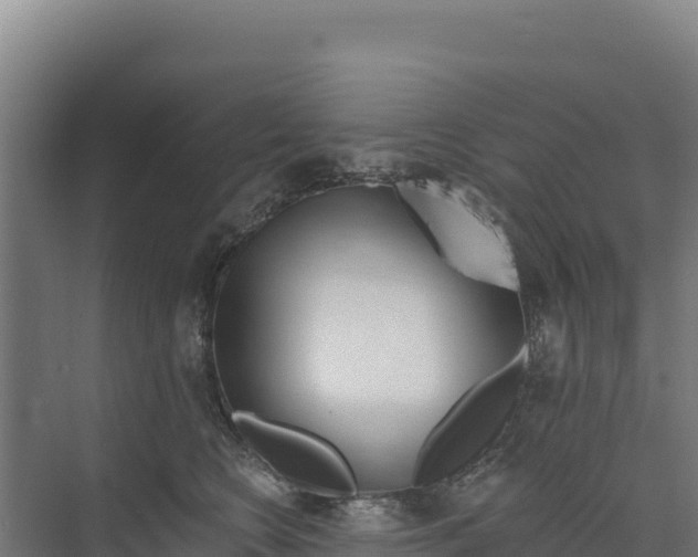 X0000073500566200608281644