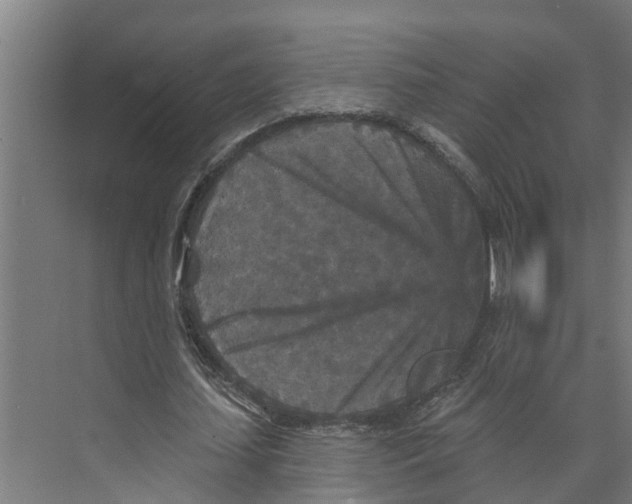 X0000073500627200608281642