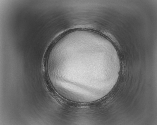 X0000073500628200608281642