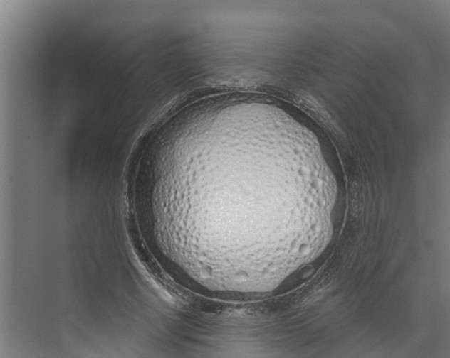 X0000073500634200608281642