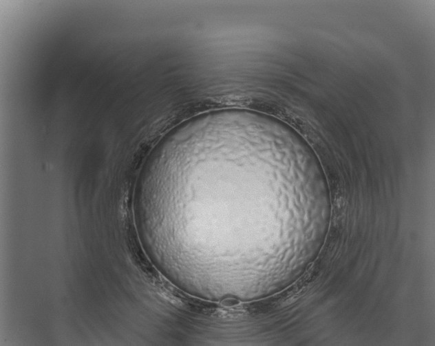 X0000073500652200608281642
