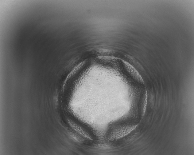 X0000073500668200608281643