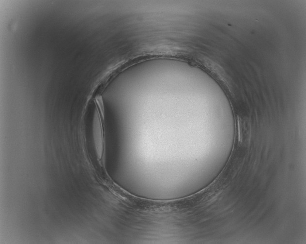X0000073500675200608281642