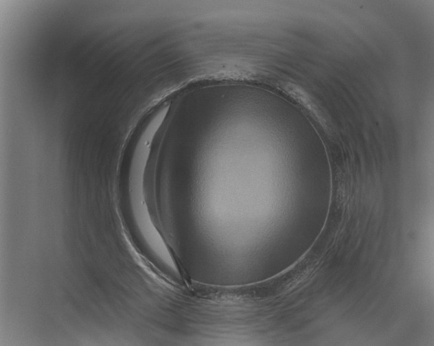 X0000073500677200608281642