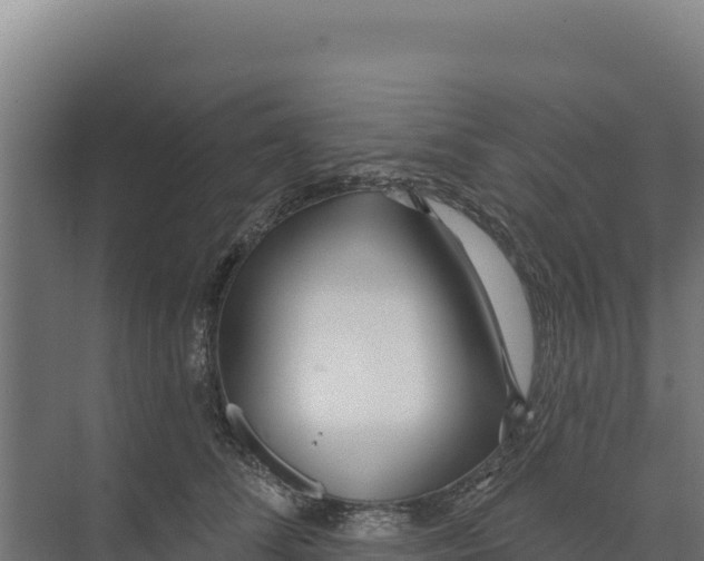 X0000073500708200608281641