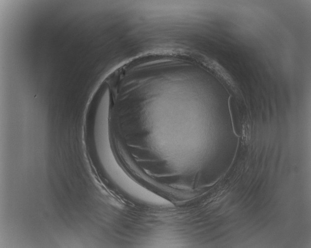 X0000073500724200608281640