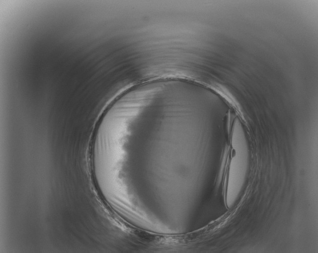 X0000073500806200608281640