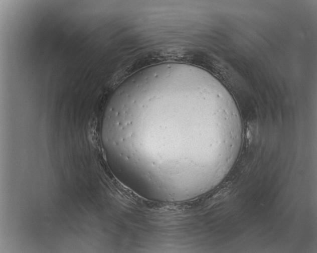 X0000073500867200608281639