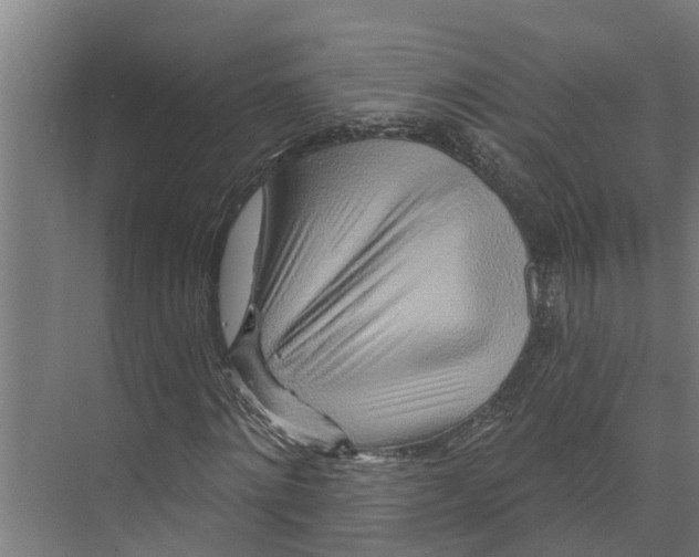 X0000073500868200608281639