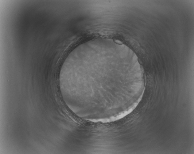 X0000073501009200608281635