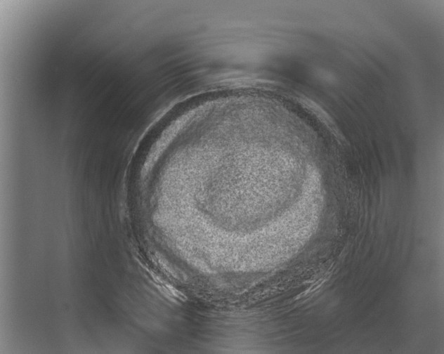 X0000073501023200608281636