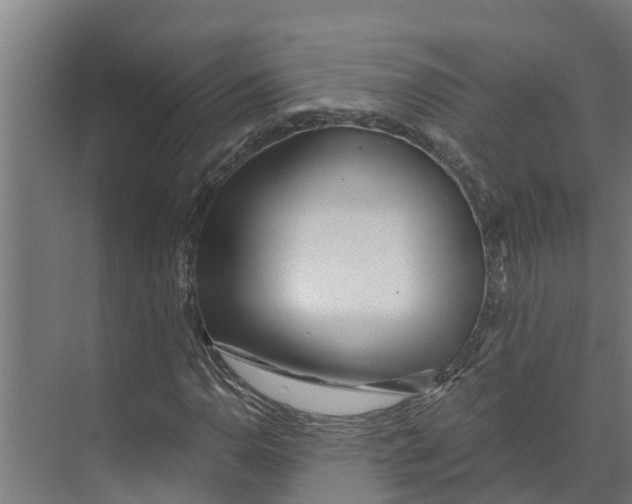 X0000073501110200608281634