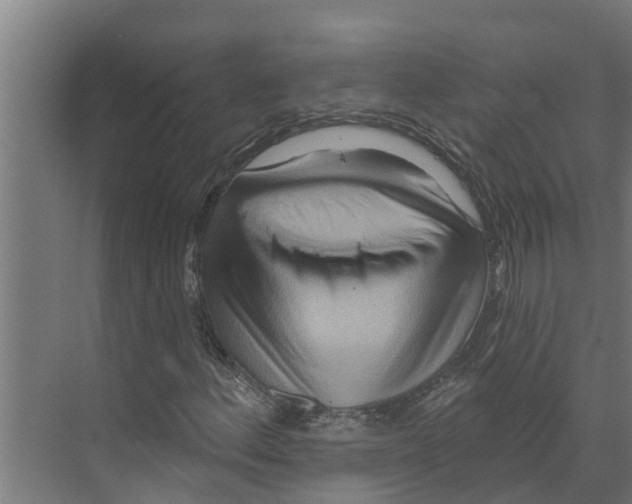 X0000073501156200608281634