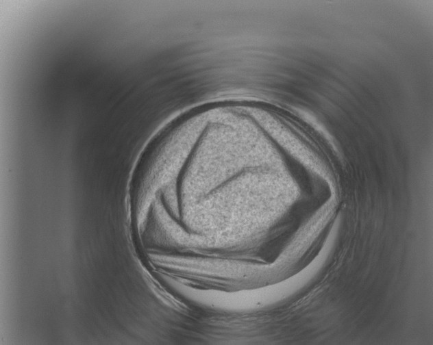X0000073501372200608281630