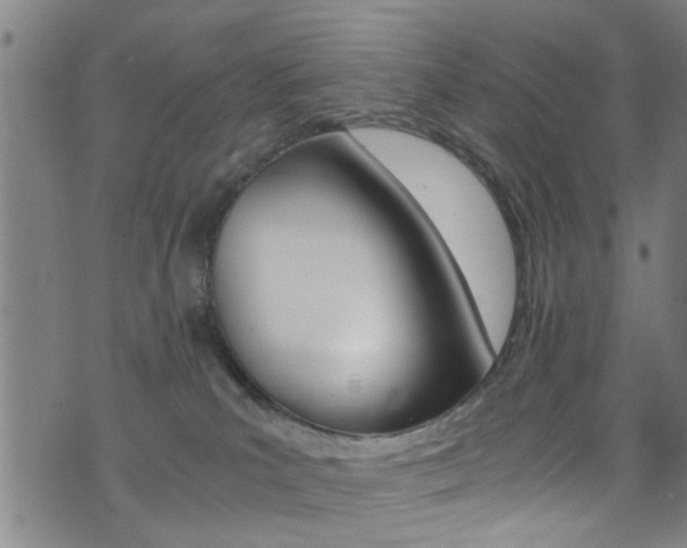 X0000073510039200607310929
