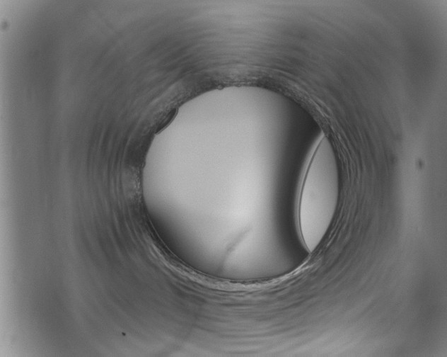 X0000073510048200607310929