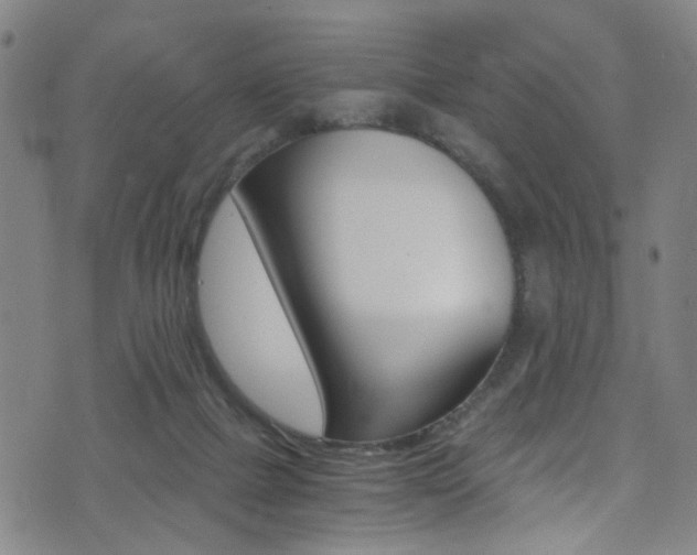 X0000073510073200607310928