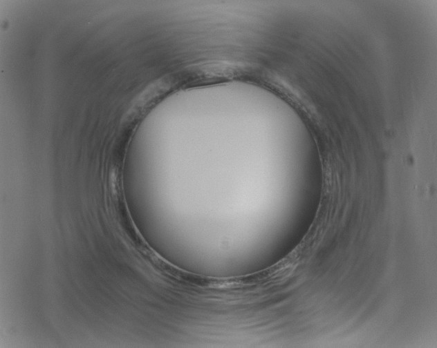 X0000073510117200607310927