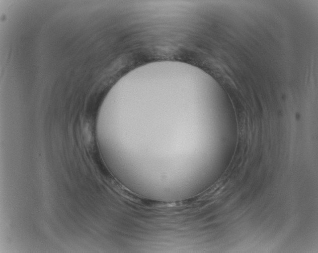 X0000073510131200607310927