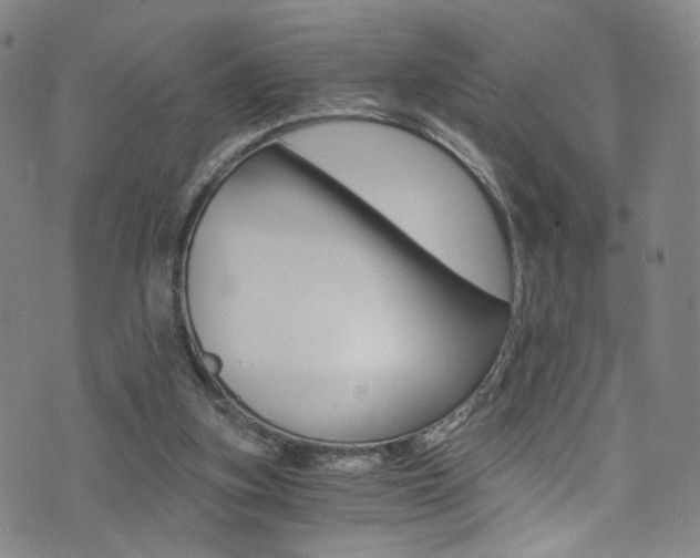 X0000073510155200607310926