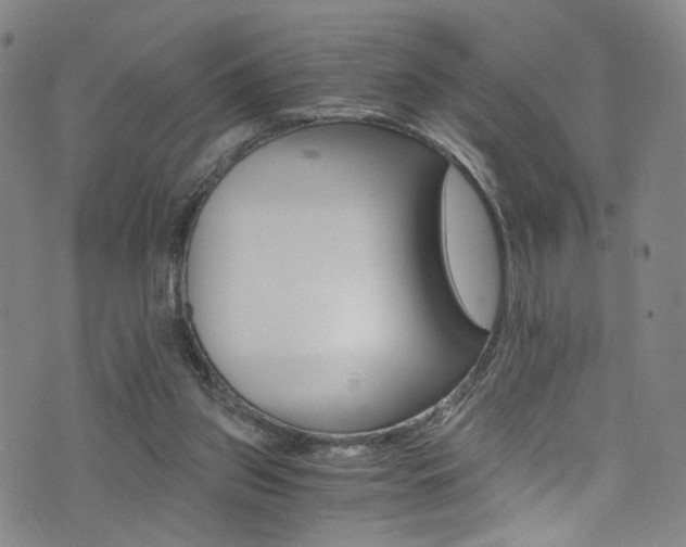 X0000073510157200607310926