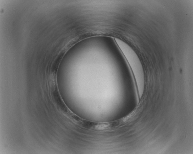 X0000073510172200607310927