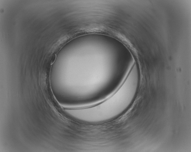 X0000073510201200607310926