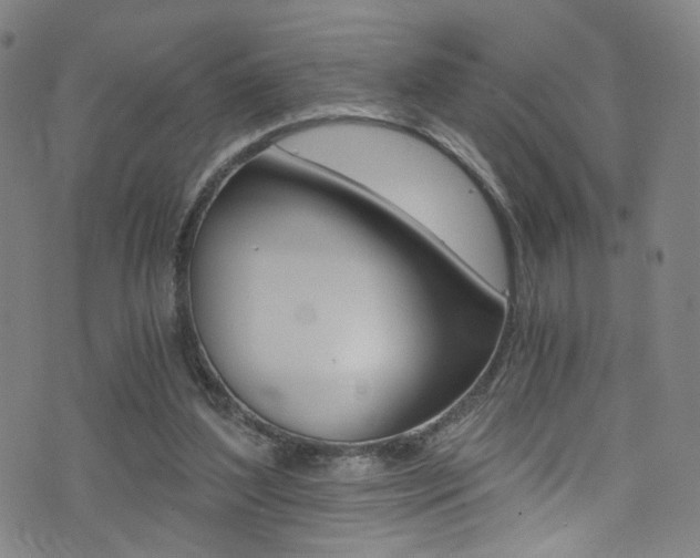 X0000073510204200607310926