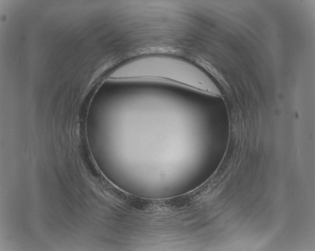 X0000073510207200607310926