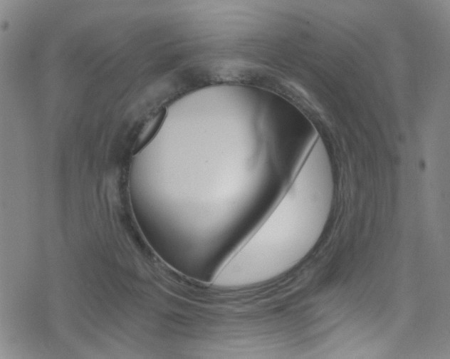 X0000073510217200607310926