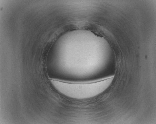 X0000073510221200607310926