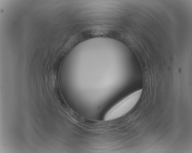 X0000073510227200607310926
