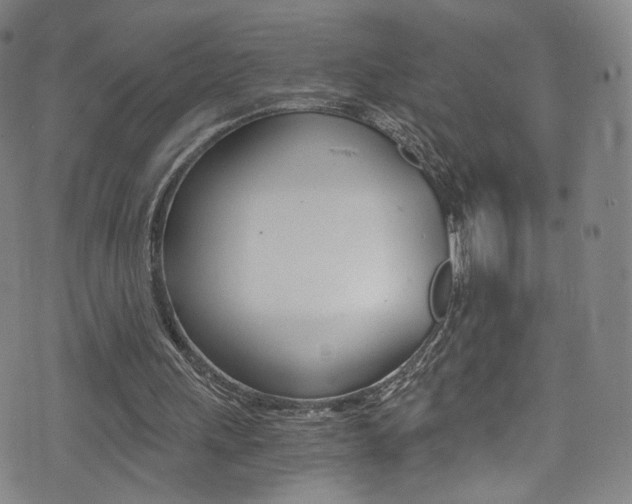 X0000073510243200607310925
