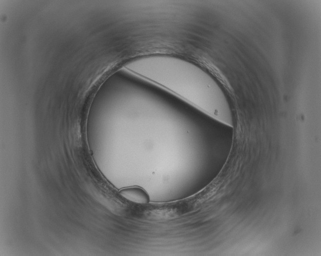X0000073510251200607310925