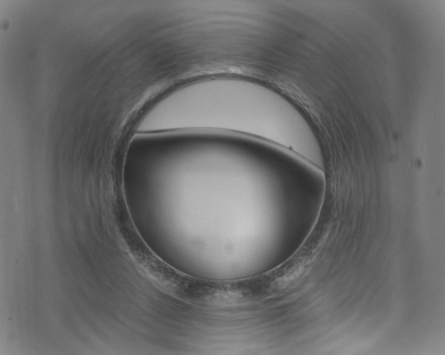 X0000073510256200607310925