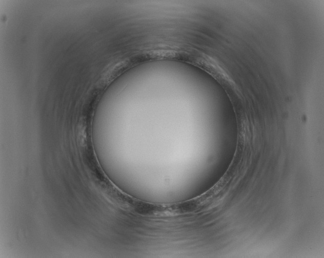 X0000073510259200607310925