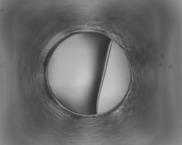 X0000073510295200607310925